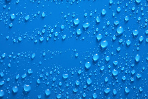 转会传闻满天飞,夏日休赛期有哪些大动作